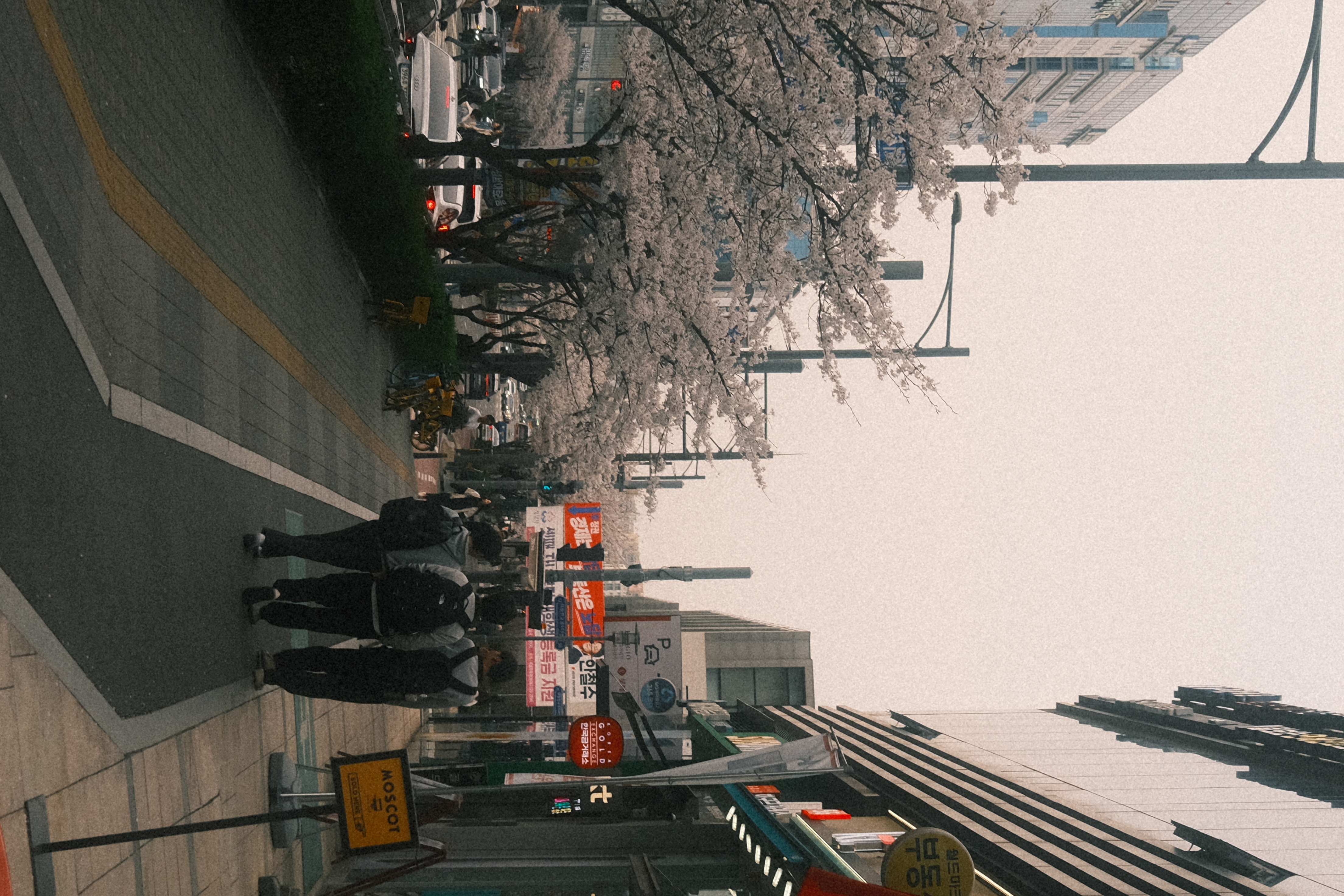 Photo from Pangyo, Seongnam