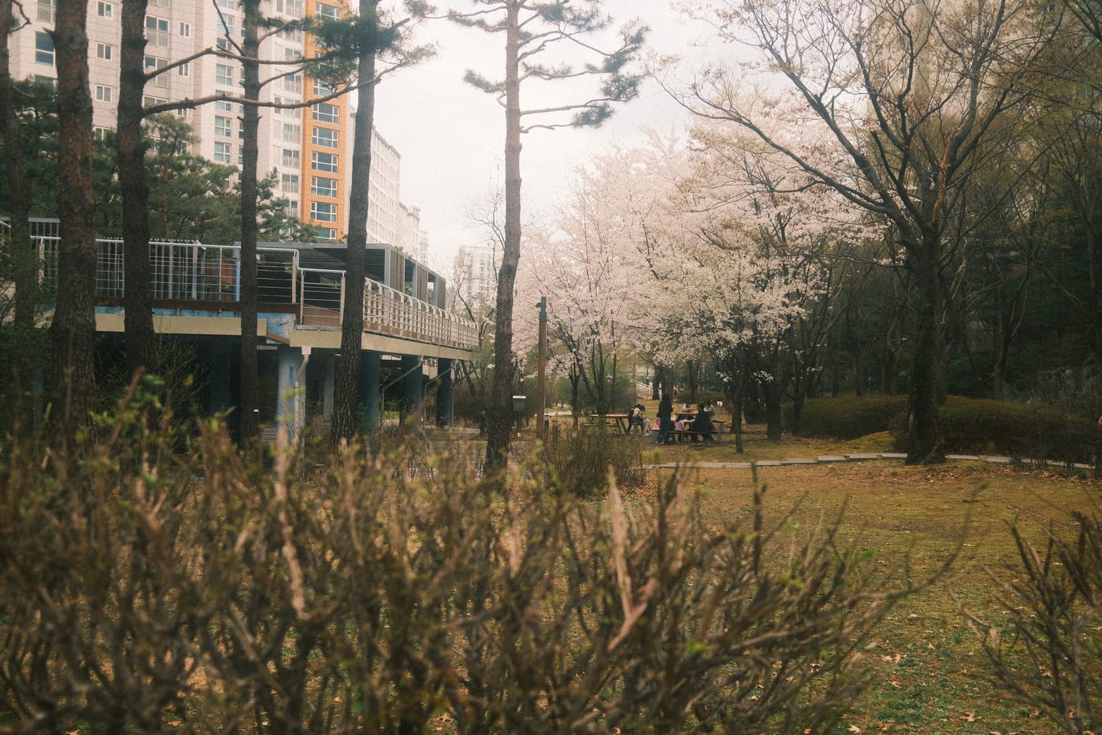 Photo from Pangyo, Seongnam