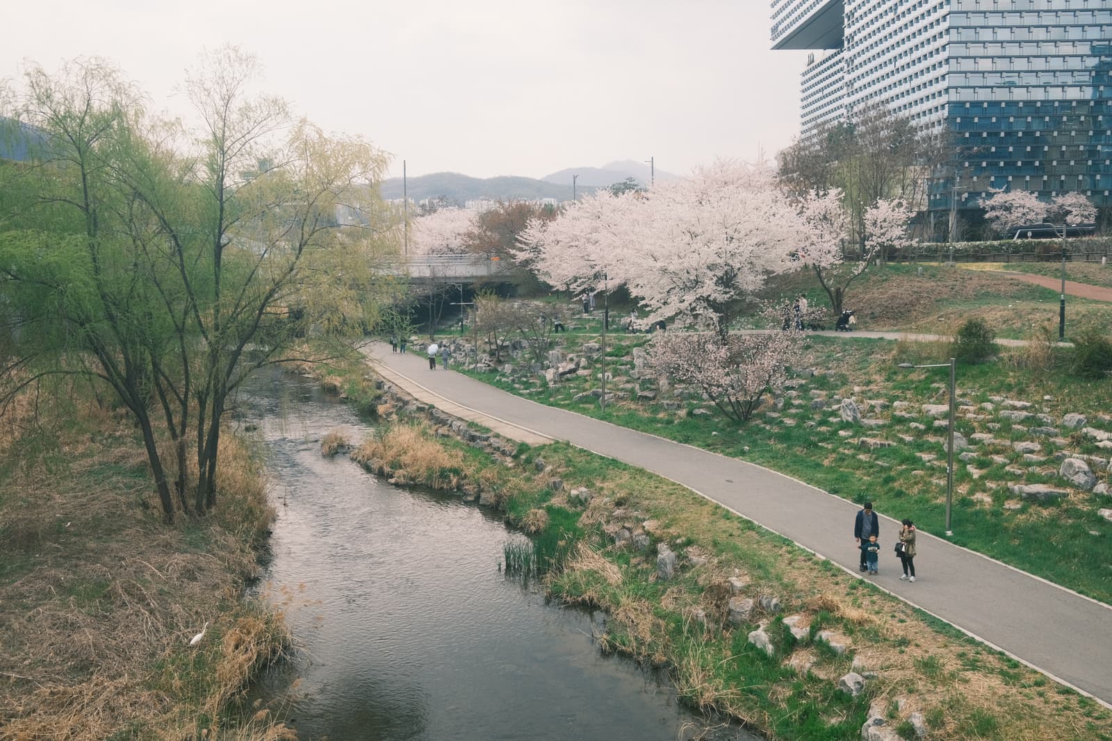 Photo from Tancheon, Pangyo