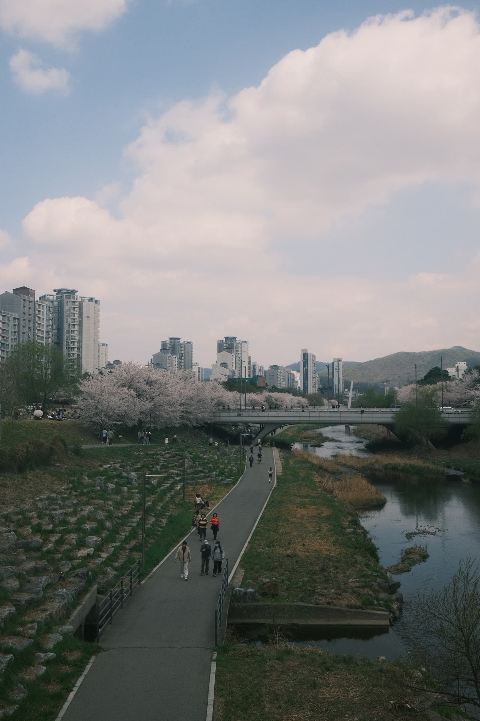 Photo from Tancheon, Pangyo