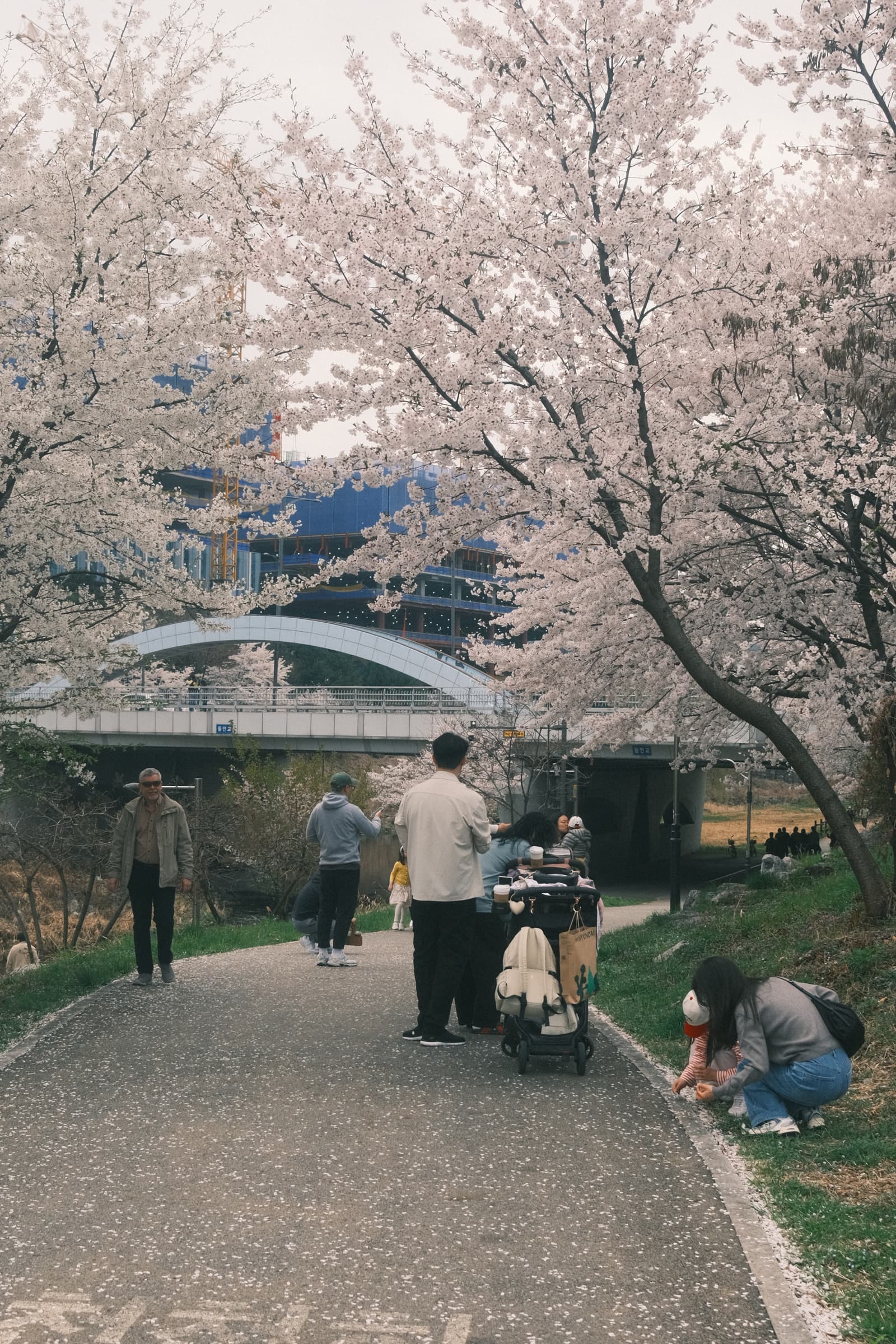 Photo from Tancheon, Pangyo
