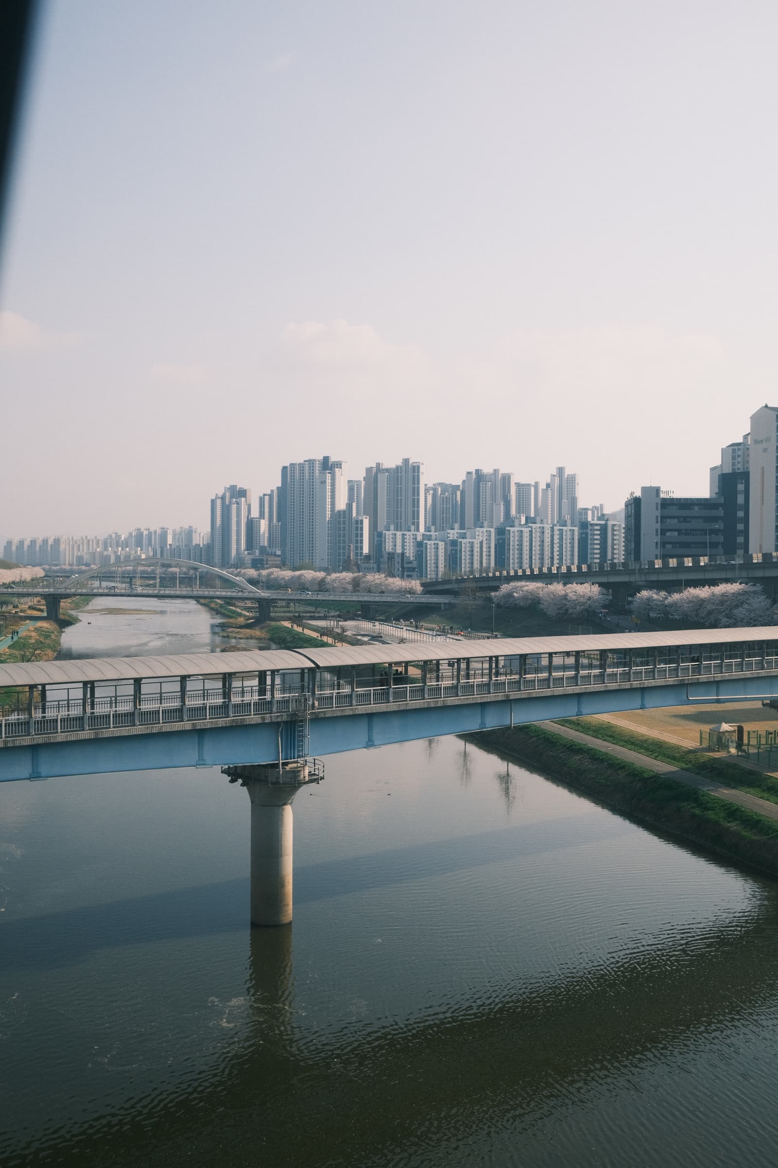 Photo from Seongnam