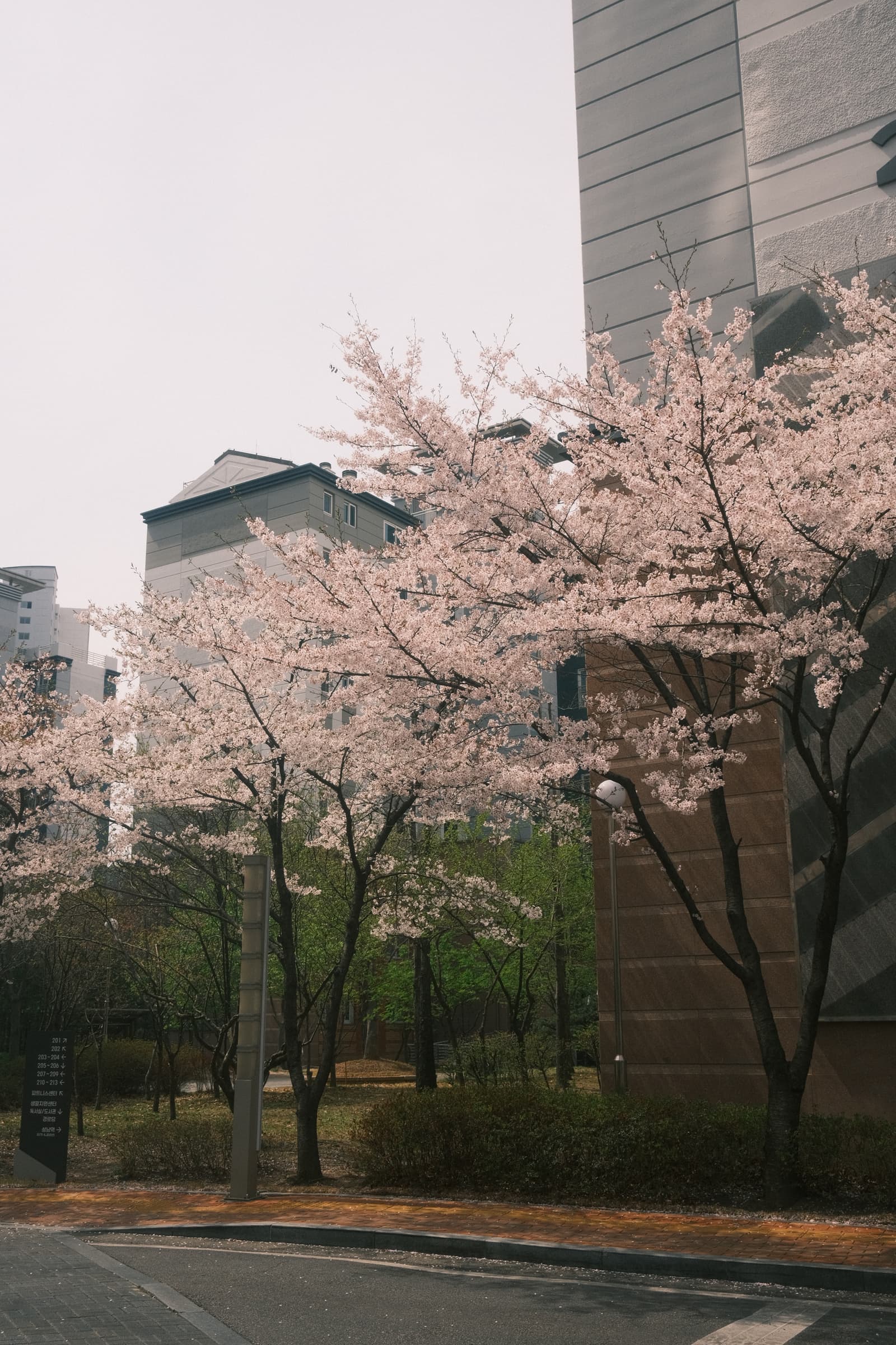 Photo from Pangyo, Seongnam