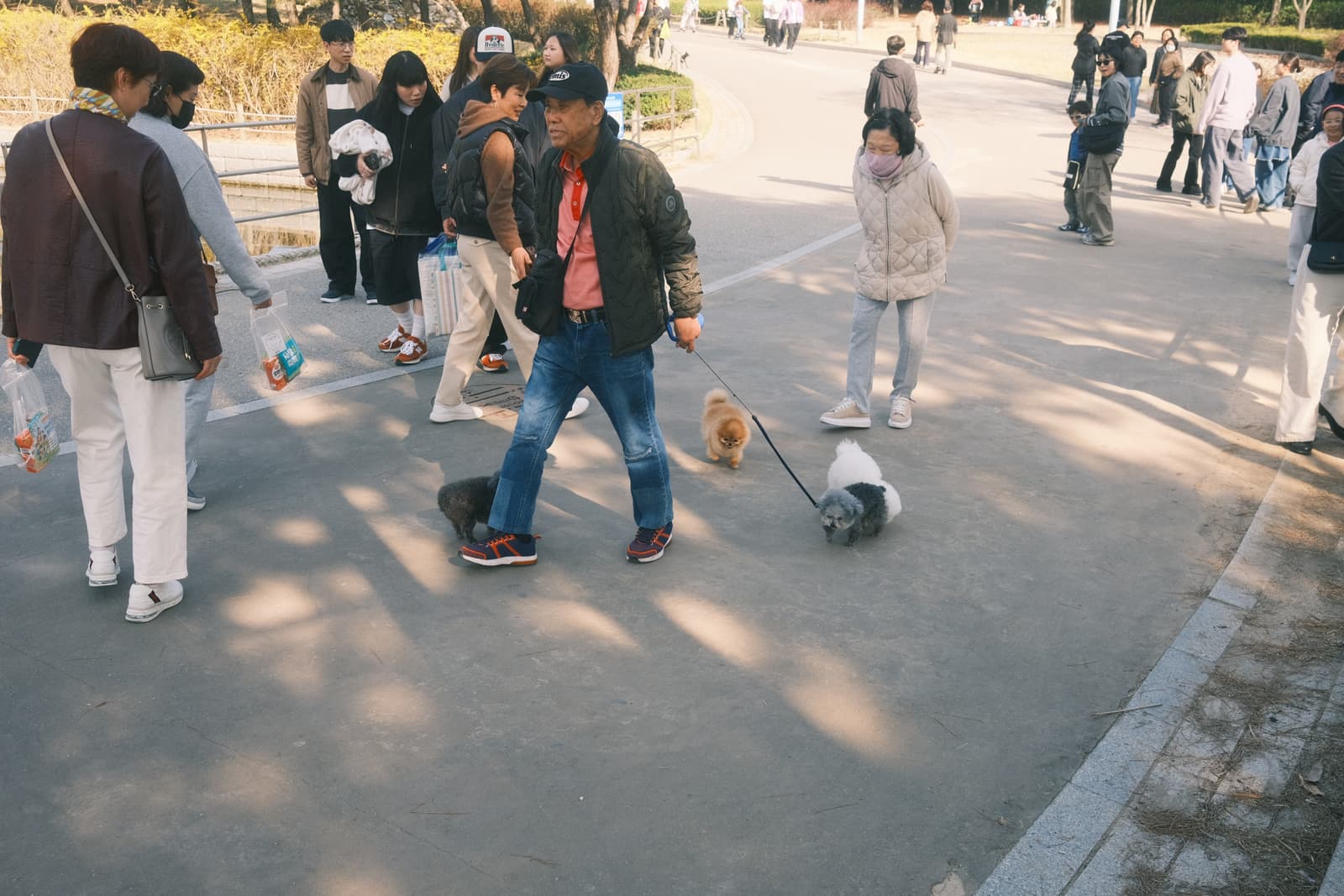 Photo from Songdo Central Park, Incheon