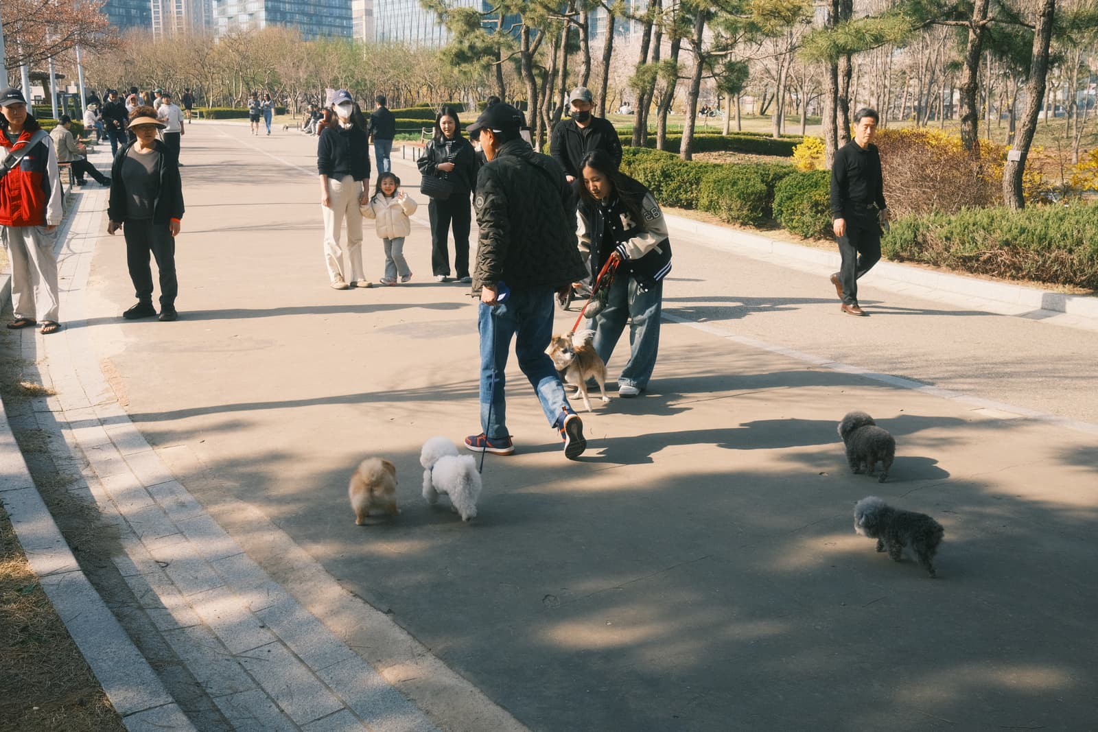 Photo from Songdo, Incheon