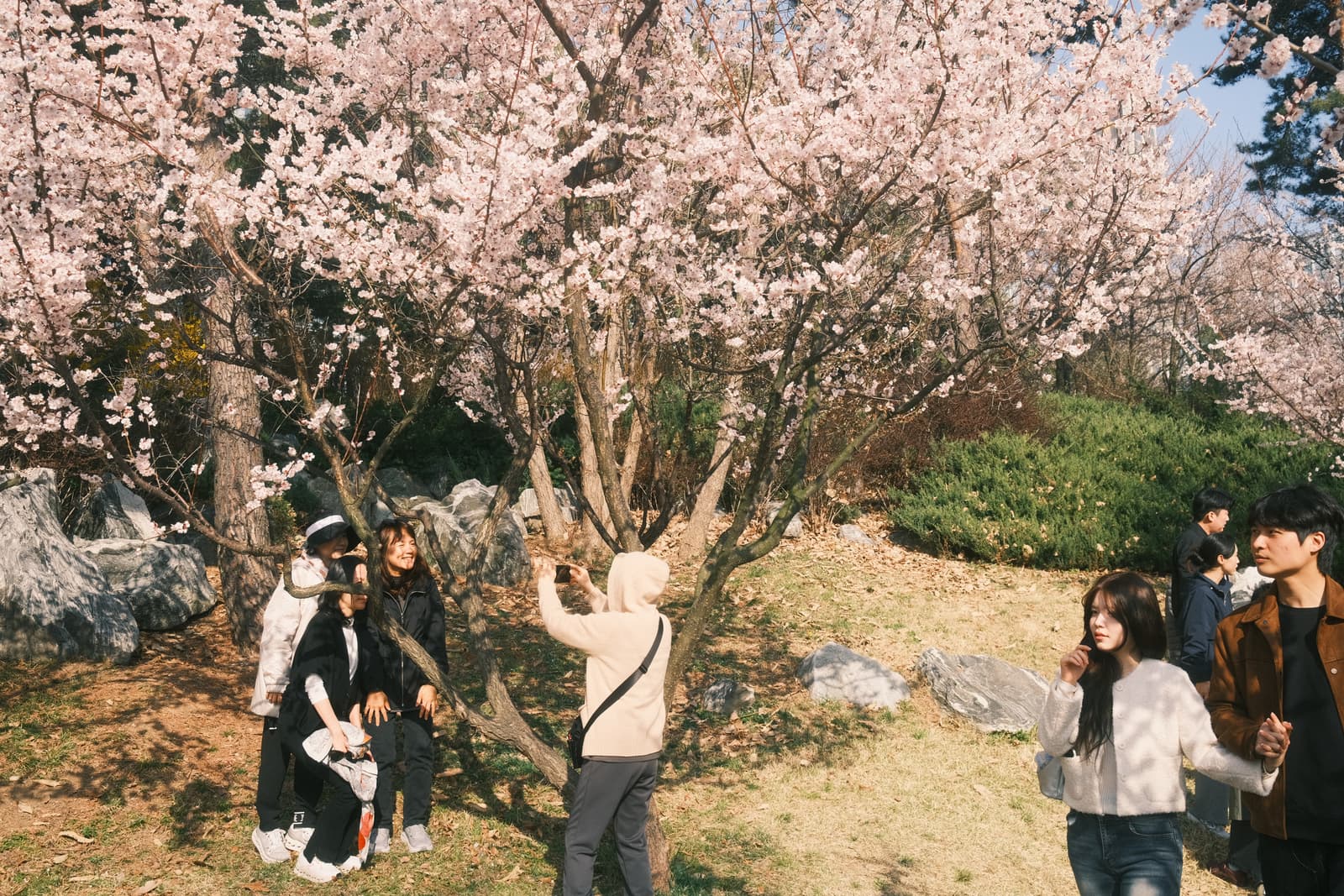 Photo from Songdo, Incheon
