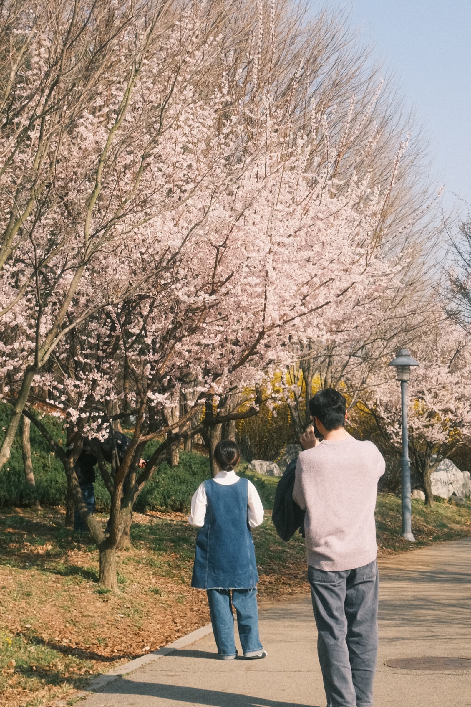 Photo from Songdo, Incheon
