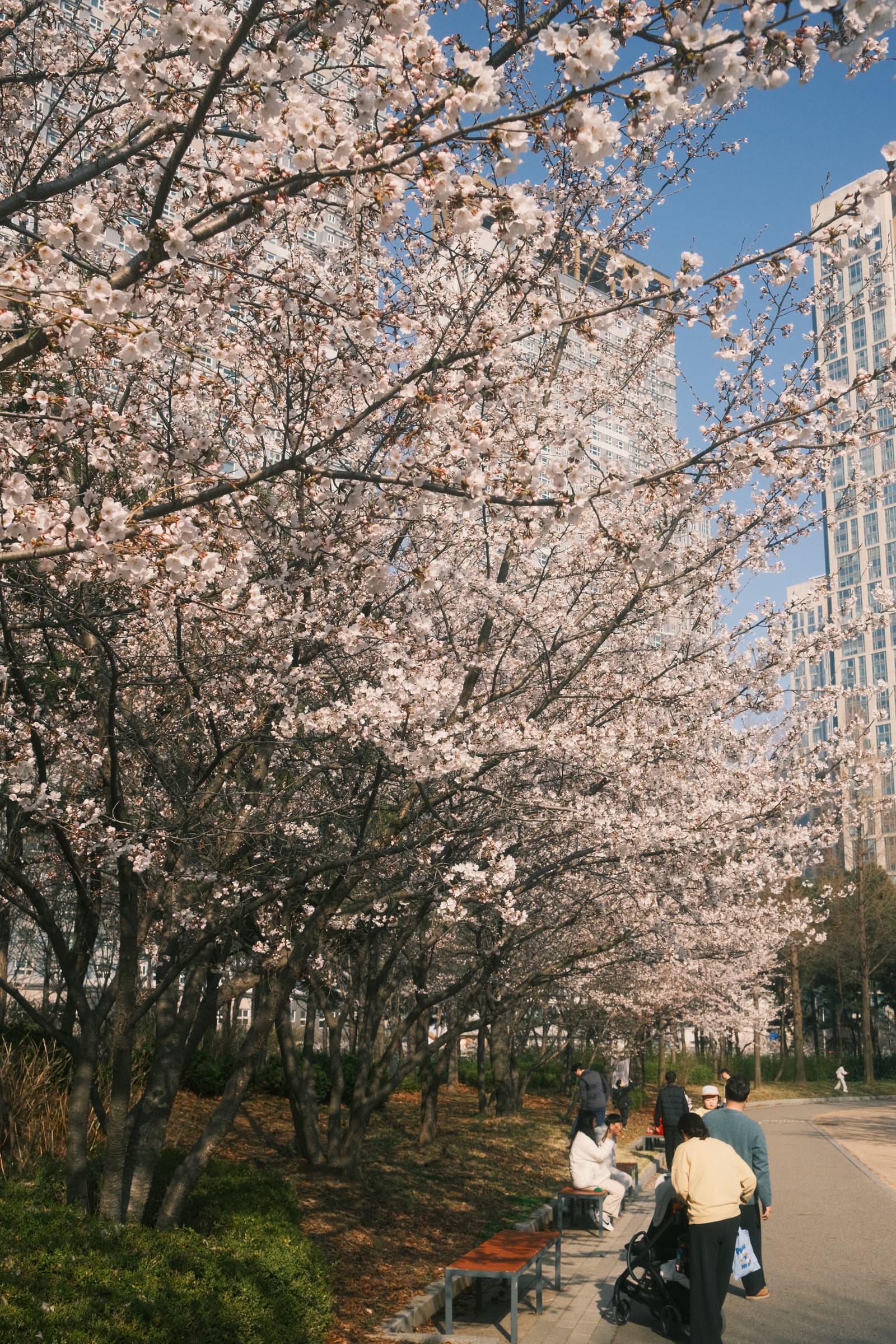 Photo from Songdo, Incheon