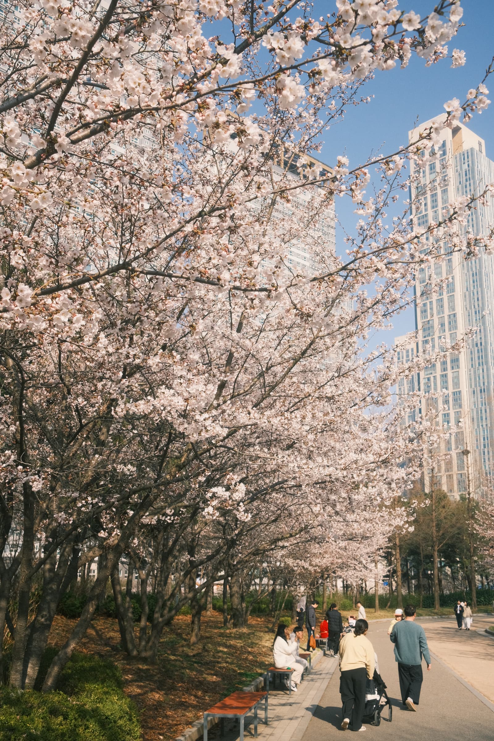 Photo from Songdo, Incheon