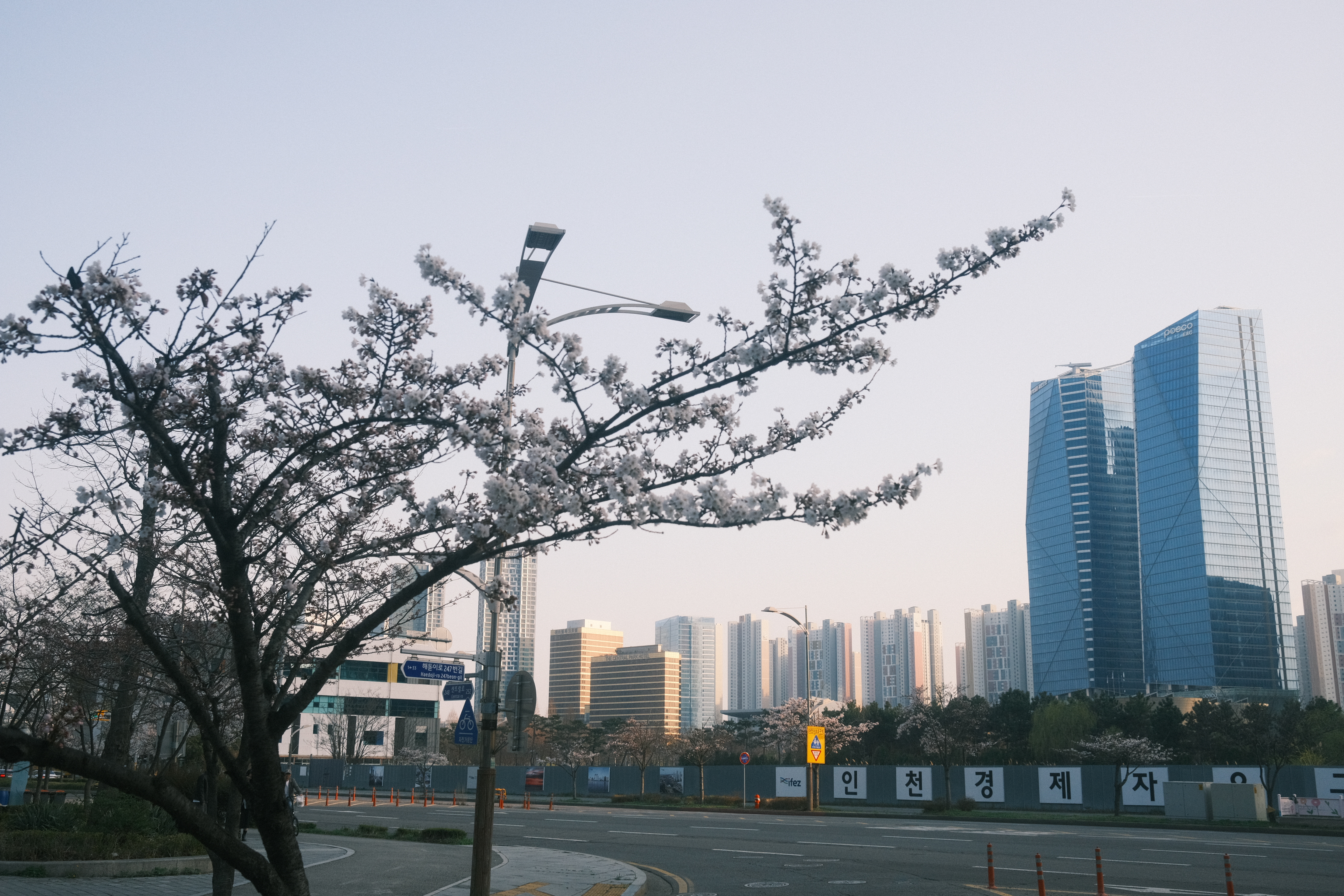 Photo from Songdo, Incheon