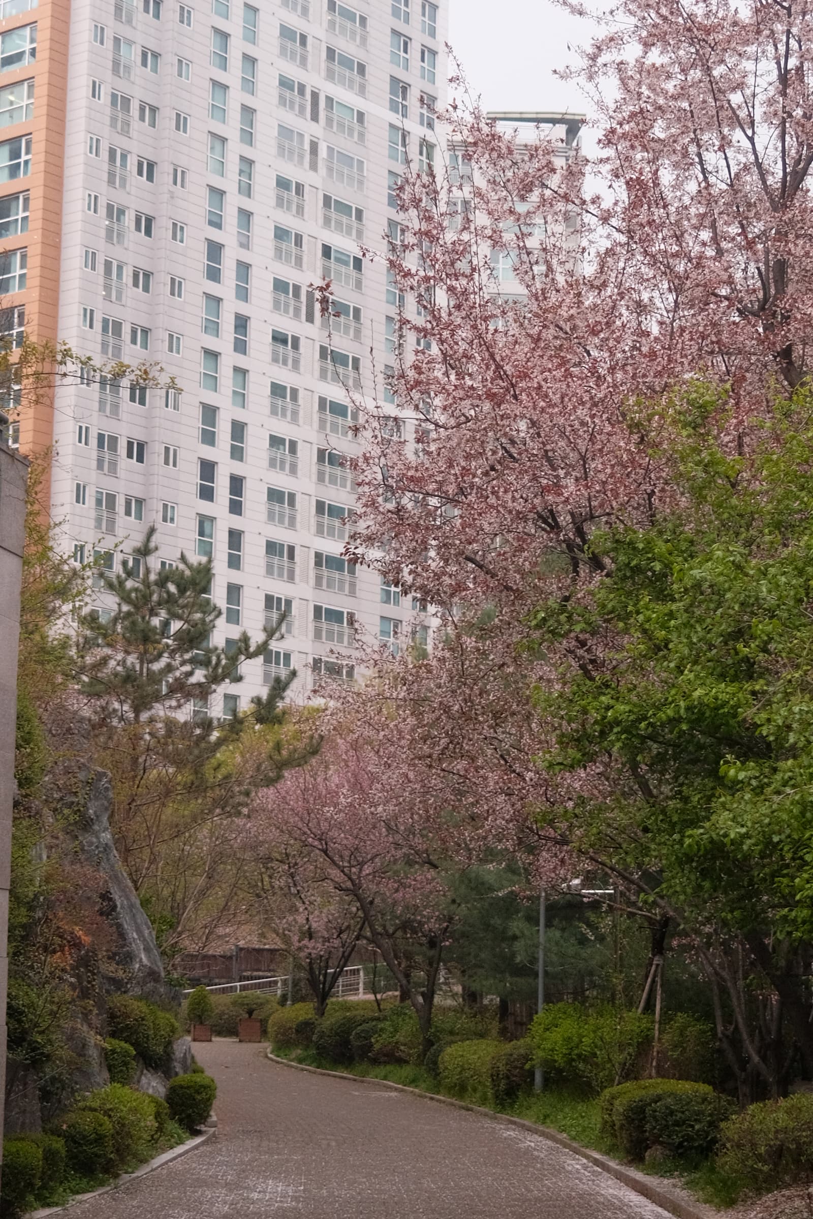 Photo from South Korea