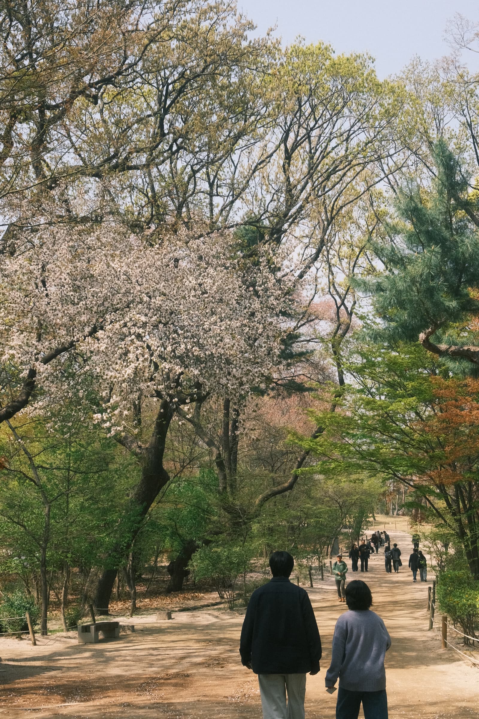 Photo from Jongmyo, Seoul