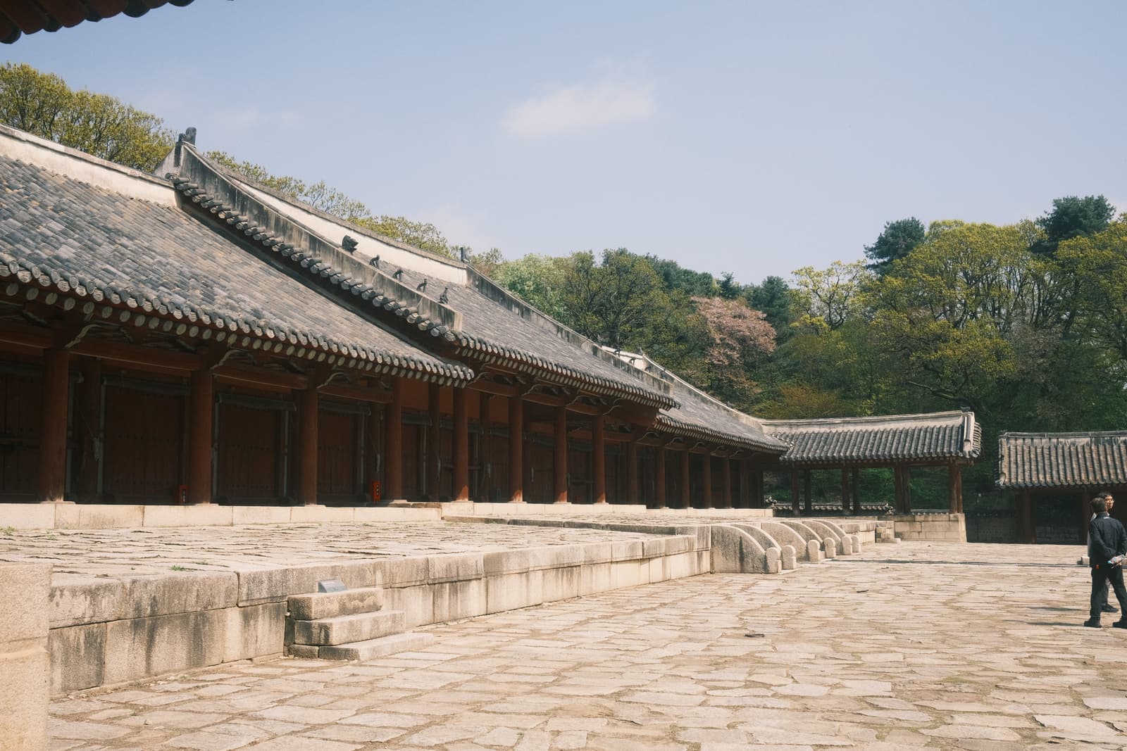 Photo from Jongmyo, Seoul
