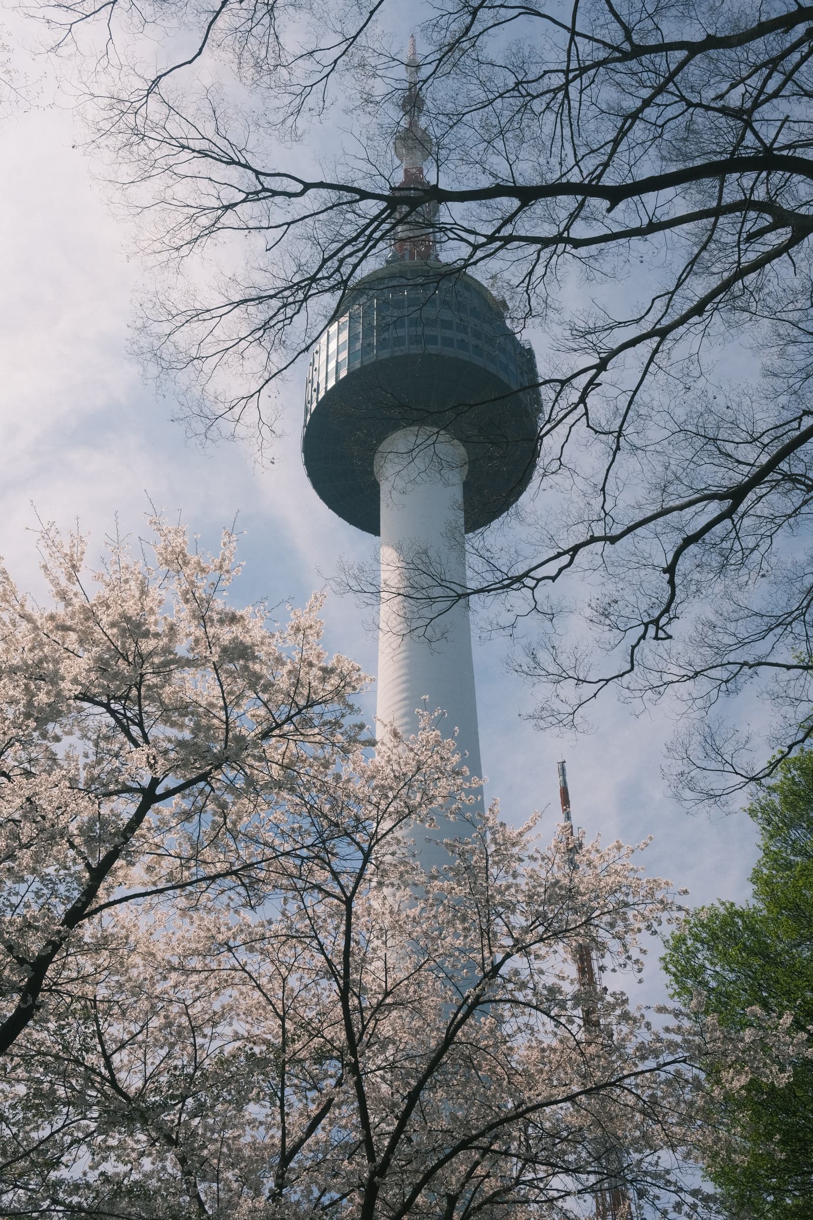 Photo from Namsan, Seoul