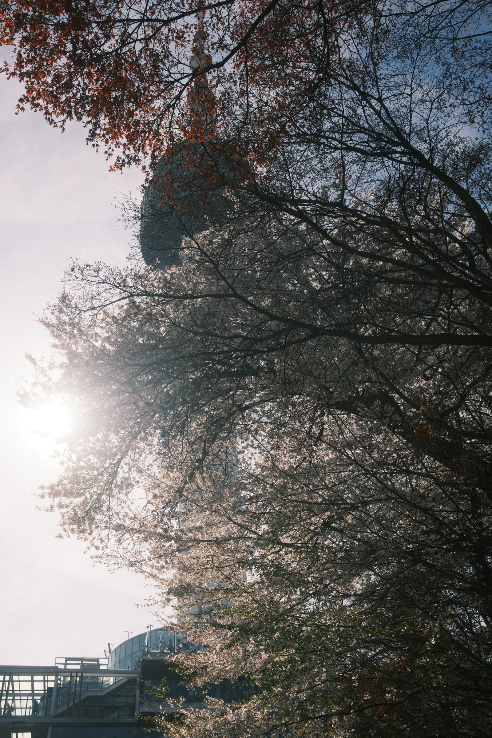 Photo from Namsan, Seoul