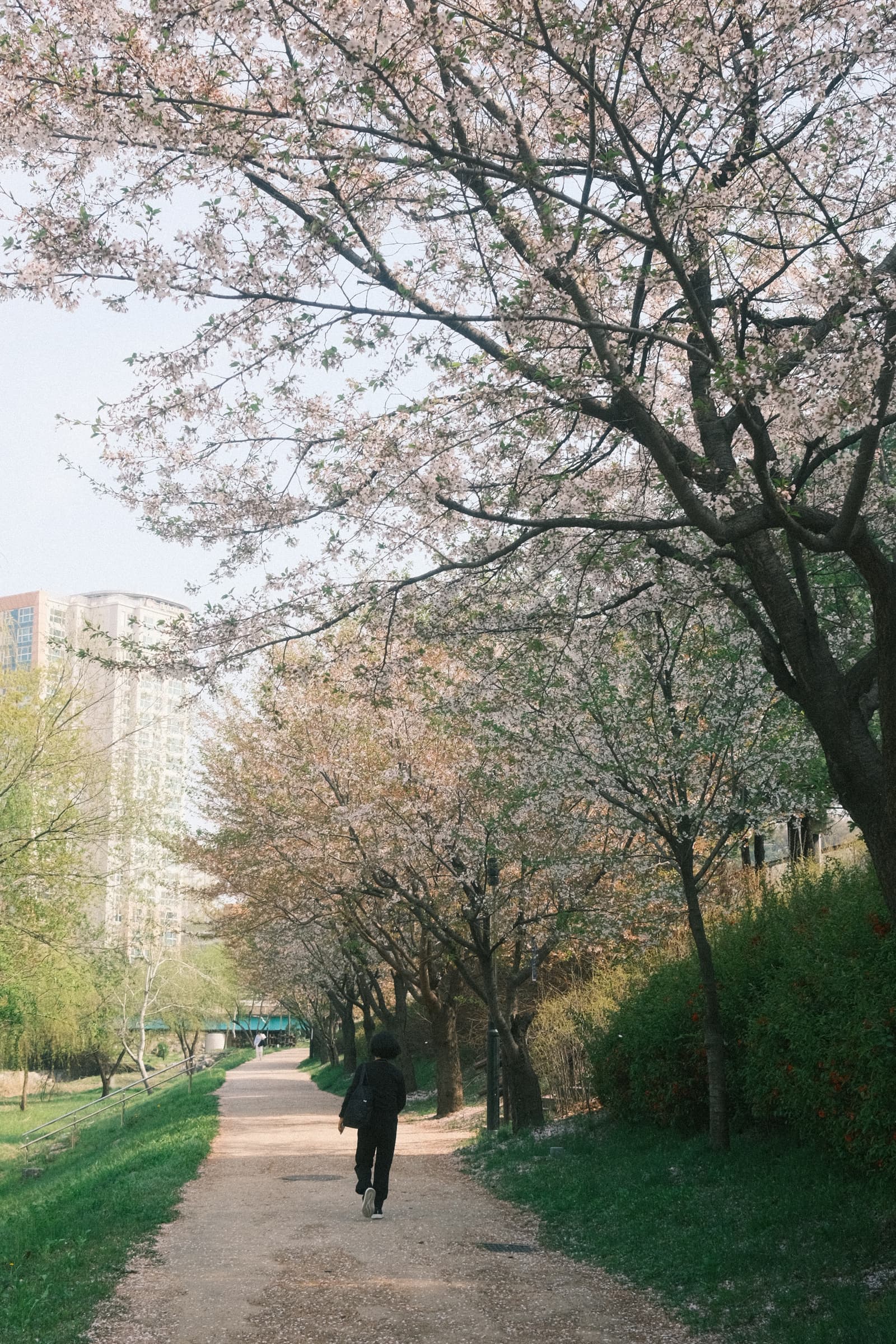 Photo from Pangyo, Seongnam